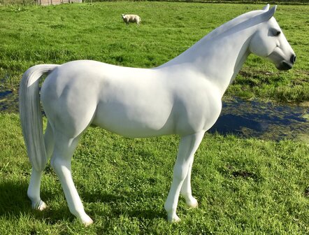 paard beeld polyester  schimmel levensgroot decolife