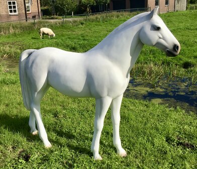 paard beeld polyester  schimmel levensgroot decolife