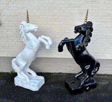 unicorn-eenhoorn-beeld 