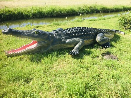 Krokodil polyester 315cm natuur xxl