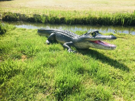 Krokodil polyester 315cm natuur xxl