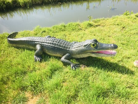 Krokodil polyester 315cm natuur xxl