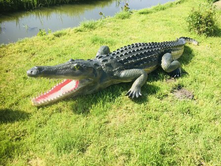 Krokodil polyester 315cm natuur xxl