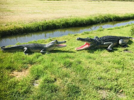 Krokodil polyester 315cm natuur xxl