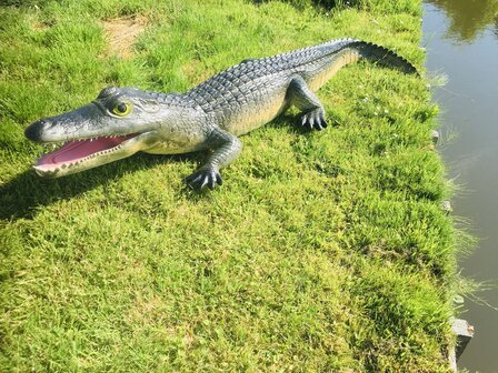 Krokodil polyester 315cm natuur xxl