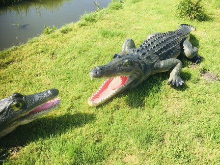 Krokodil polyester 315cm natuur xxl