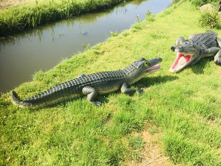 Krokodil polyester 315cm natuur xxl