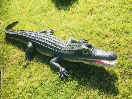 Krokodil polyester 315cm natuur xxl