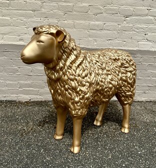 schaap polyester beeld  goud