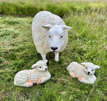 Texels Schaap Staand - met 2 lammetjes  