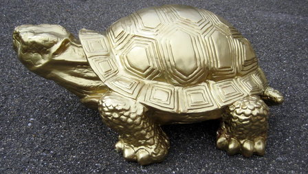  schildpad -goud-polyester -verguld