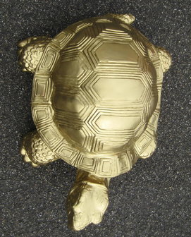  schildpad -goud-polyester -verguld