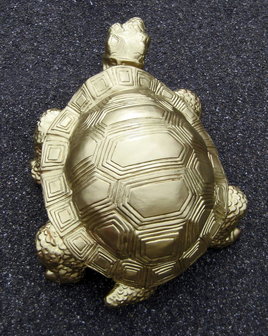  schildpad -goud-polyester -verguld