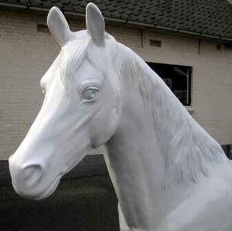 paard hoogglans wit