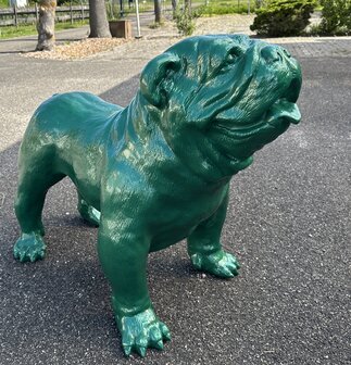 engels bulldog 420196-rolex groen 