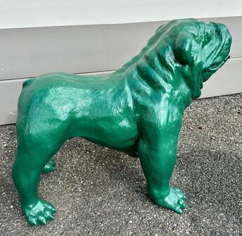 engels bulldog 420196-rolex groen 