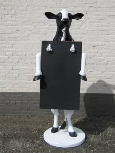 Staande koe met menubord 