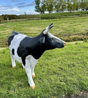 polyester koe beeld levens groot zwartbont