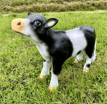 Koe kalf beeld &quot;Bouke&quot; zwartbont