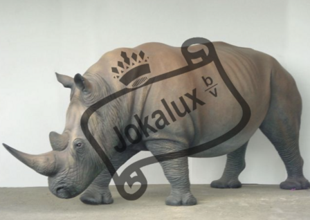 neushoorn life size