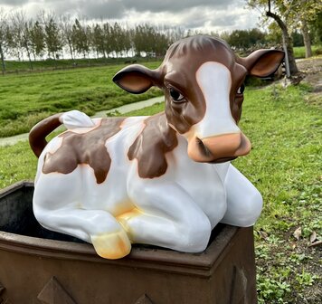 koe  kalf liggend - roodbont - 87cm