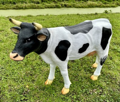 koe grietje zwartbont 