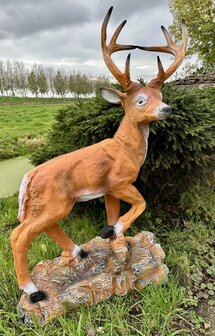 hert op rots polyester beeld 