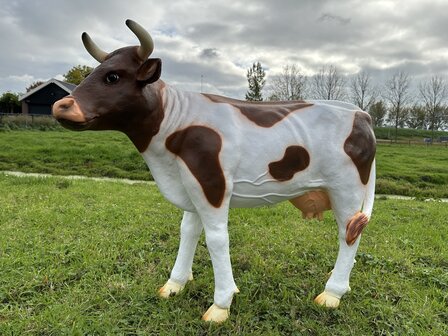 Koe &quot;Grietje&quot; rood bont - 140cm 