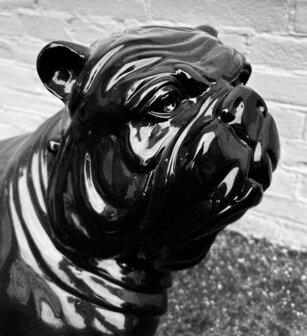 engelse bulldog kunsthars -hond 