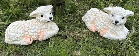 schaap lam liggend decolife