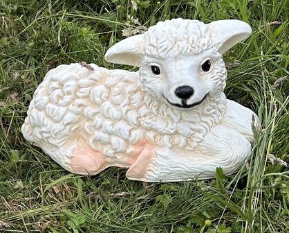 schaap lam liggend decolife