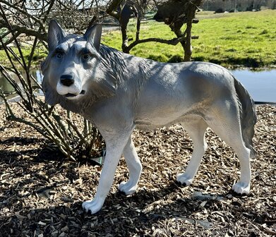 wolf staand polyester beeld