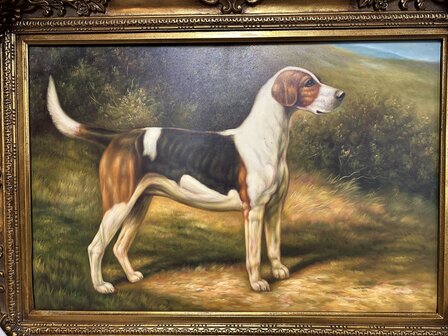 Schilderij op doek olieverf  Lijst - hond 