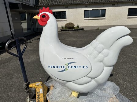 Kip-reclame-XXL-420140