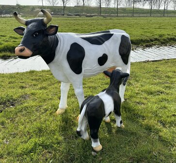 koe met kalf