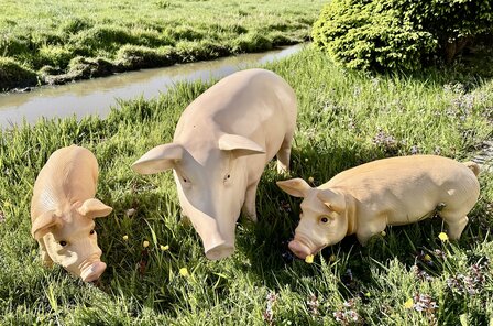 Varken  zeug 100cm met twee biggen 41cm