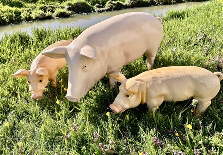 Varken  zeug 100cm met twee biggen 41cm