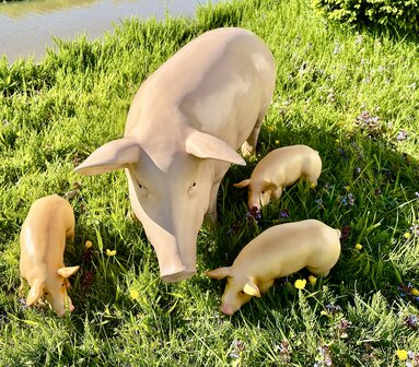 Varken zeug 100cm met drie biggen 