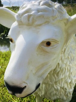 schaap polystone tuinbeeld 80 cm
