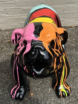 Engels Bulldog  Bobbi zwart dripping 