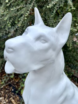 Duitse (Deense )dog kunsthars wit  95cm