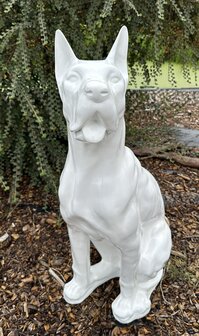 Duitse (Deense )dog kunsthars wit  95cm
