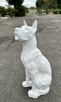 Duitse (Deense )dog kunsthars wit  95cm