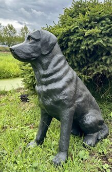 Labrador hond beeld zittend zwart