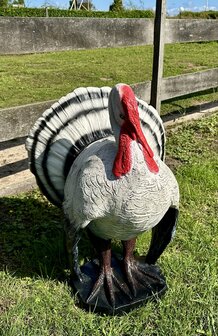 Kalkoen beeld levens groot polyester ,boerderij dier&nbsp;