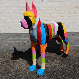 Rainbow Hippies Deense Dog Luna ibiza style 