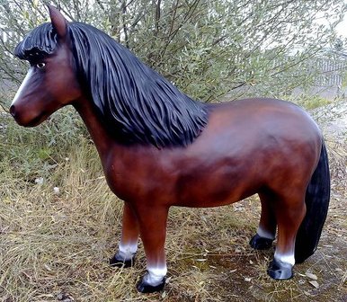 shetland pony beeld