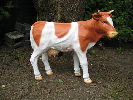 Rood bonte koe  - 150 cm