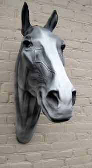 paardenhoofd schimmel 