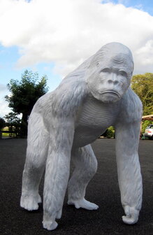gorilla bokito wit polyester beeld 